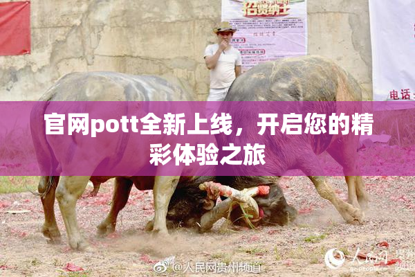 官网pott全新上线，开启您的精彩体验之旅