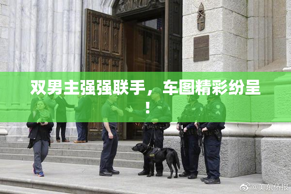 双男主强强联手，车图精彩纷呈！