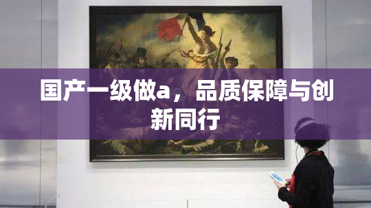 国产一级做a，品质保障与创新同行