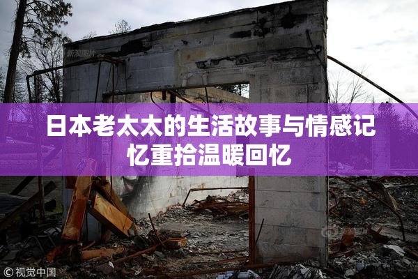 日本老太太的生活故事与情感记忆重拾温暖回忆
