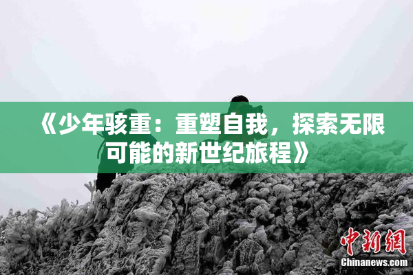 《少年骇重：重塑自我，探索无限可能的新世纪旅程》