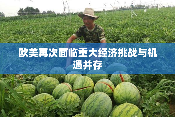 欧美再次面临重大经济挑战与机遇并存
