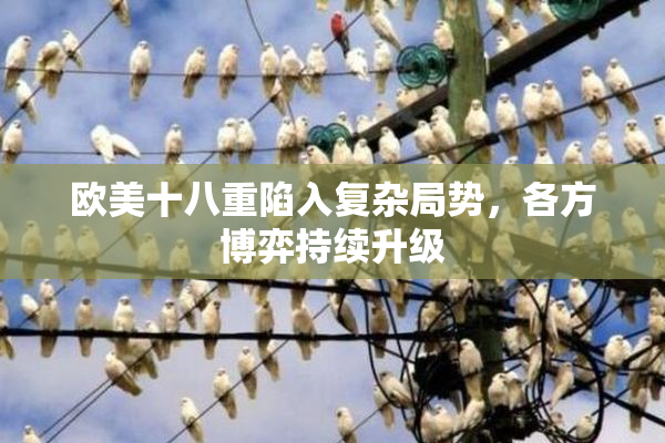 欧美十八重陷入复杂局势，各方博弈持续升级