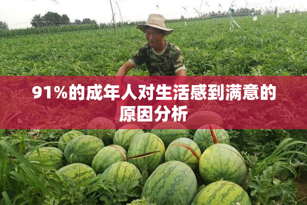 91%的成年人对生活感到满意的原因分析