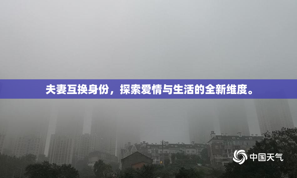 夫妻互换身份，探索爱情与生活的全新维度。