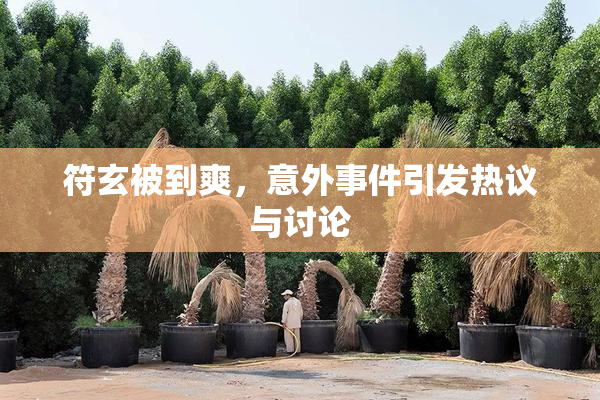 符玄被到爽，意外事件引发热议与讨论