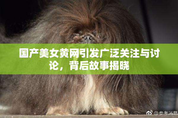 国产美女黄网引发广泛关注与讨论，背后故事揭晓