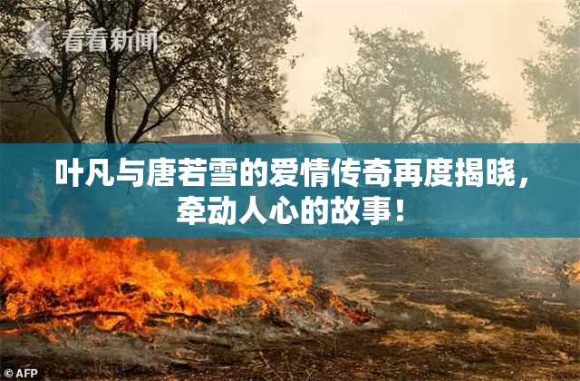 叶凡与唐若雪的爱情传奇再度揭晓，牵动人心的故事！