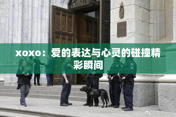 xoxo：爱的表达与心灵的碰撞精彩瞬间