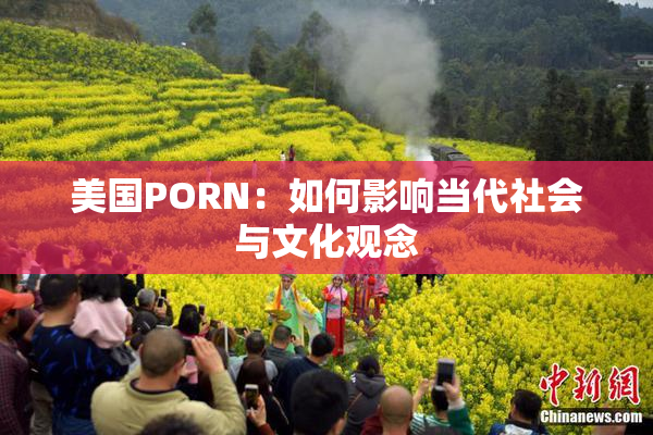 美国PORN：如何影响当代社会与文化观念