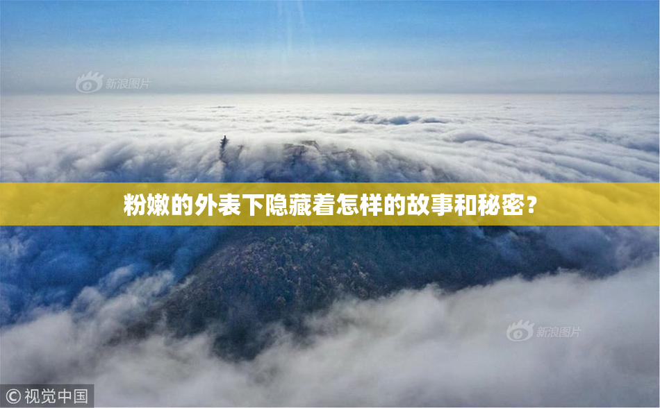 粉嫩的外表下隐藏着怎样的故事和秘密？