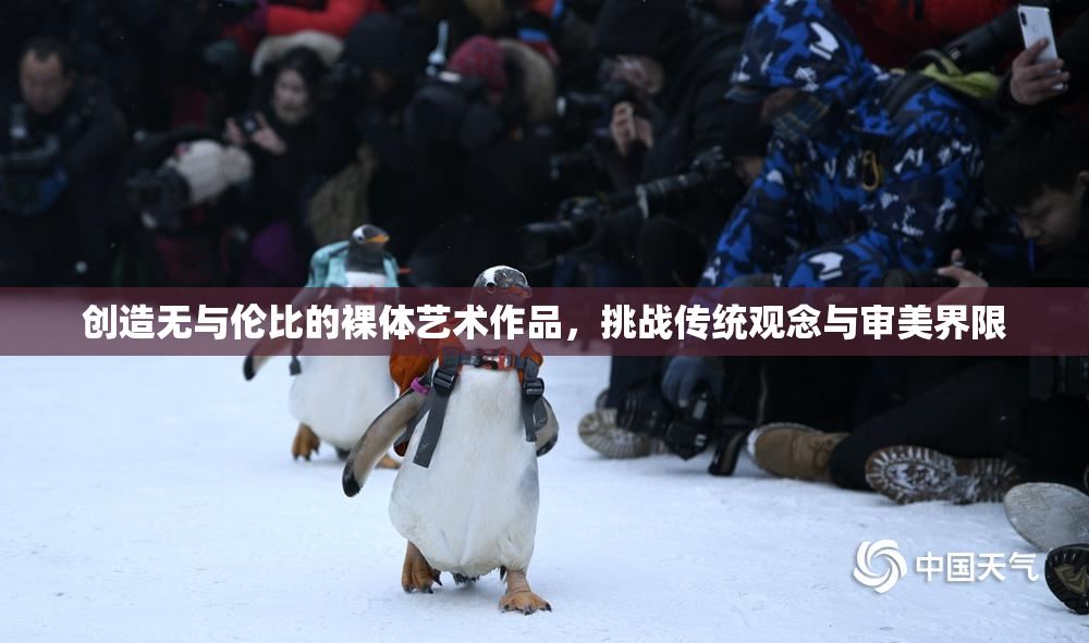 创造无与伦比的裸体艺术作品，挑战传统观念与审美界限