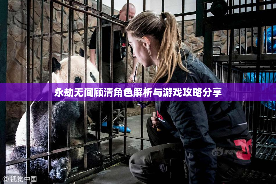 永劫无间顾清角色解析与游戏攻略分享