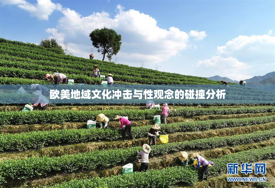 欧美地域文化冲击与性观念的碰撞分析