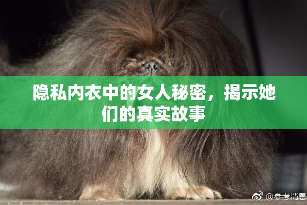 隐私内衣中的女人秘密，揭示她们的真实故事