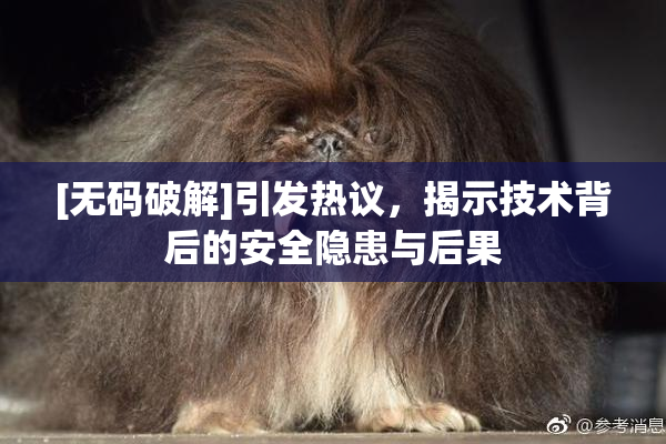 [无码破解]引发热议，揭示技术背后的安全隐患与后果