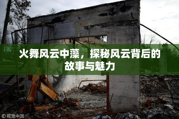 火舞风云中藻，探秘风云背后的故事与魅力