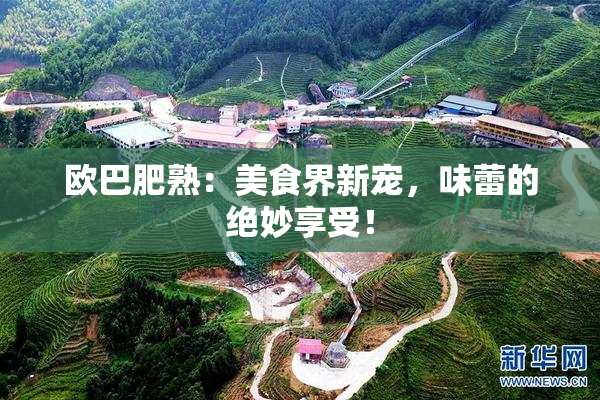欧巴肥熟：美食界新宠，味蕾的绝妙享受！