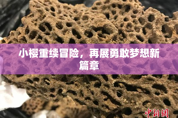 小樱重续冒险，再展勇敢梦想新篇章
