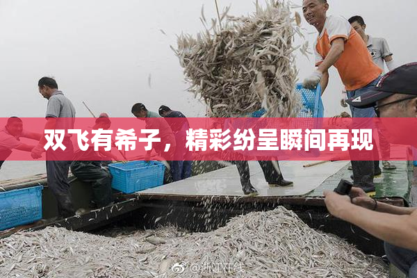 双飞有希子，精彩纷呈瞬间再现