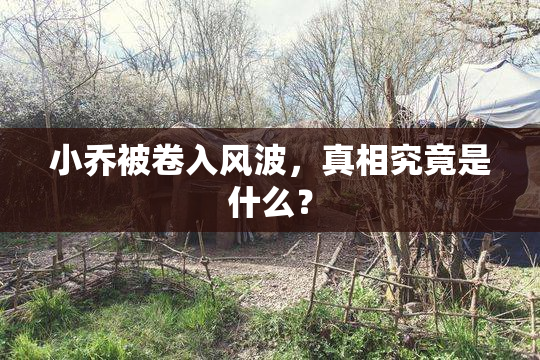 小乔被卷入风波，真相究竟是什么？