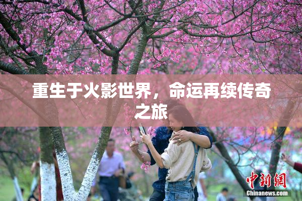 重生于火影世界，命运再续传奇之旅