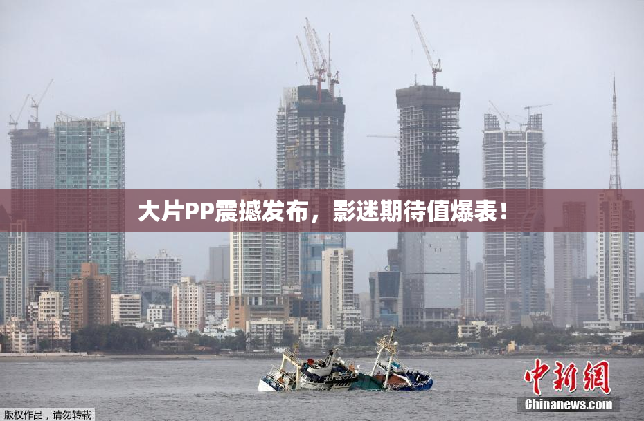 大片PP震撼发布，影迷期待值爆表！