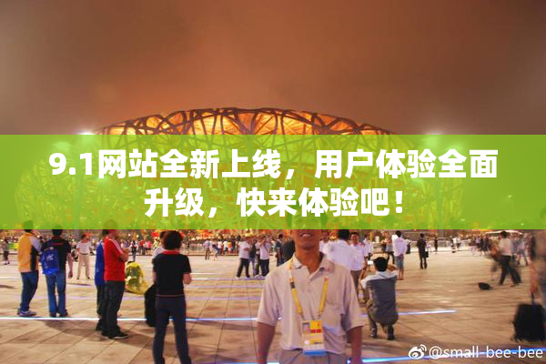 9.1网站全新上线，用户体验全面升级，快来体验吧！