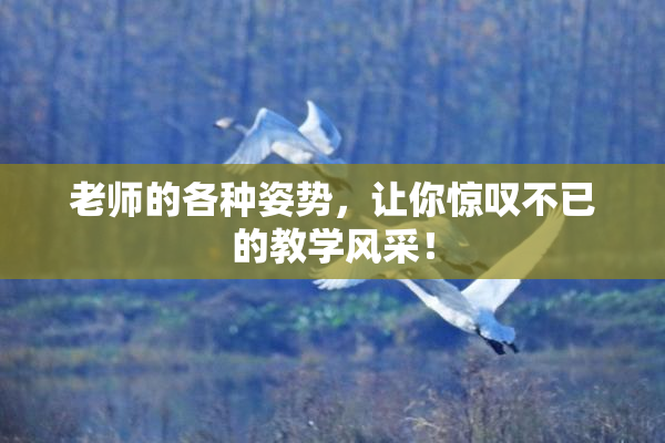 老师的各种姿势，让你惊叹不已的教学风采！