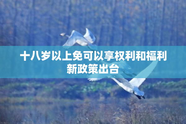 十八岁以上免可以享权利和福利新政策出台