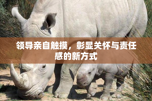 领导亲自触摸，彰显关怀与责任感的新方式