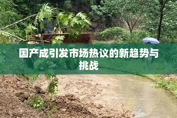 国产成引发市场热议的新趋势与挑战