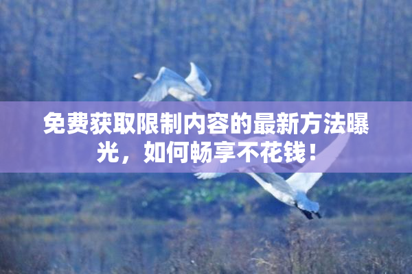 免费获取限制内容的最新方法曝光，如何畅享不花钱！