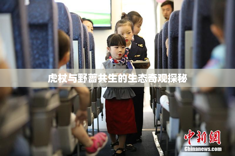 虎杖与野蔷共生的生态奇观探秘