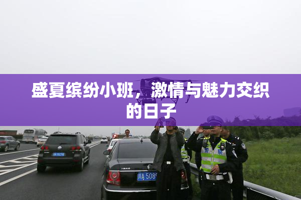 盛夏缤纷小班，激情与魅力交织的日子