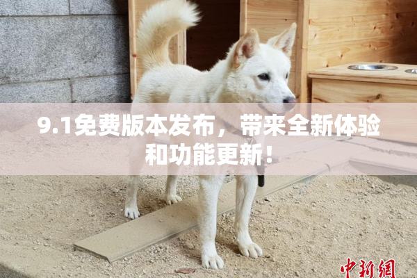 9.1免费版本发布，带来全新体验和功能更新！