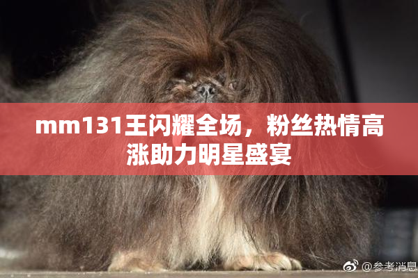 mm131王闪耀全场，粉丝热情高涨助力明星盛宴