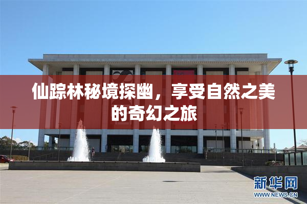 仙踪林秘境探幽，享受自然之美的奇幻之旅