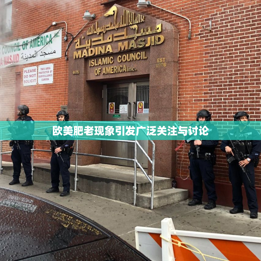 欧美肥老现象引发广泛关注与讨论