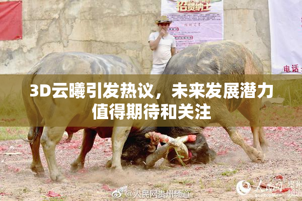 3D云曦引发热议，未来发展潜力值得期待和关注