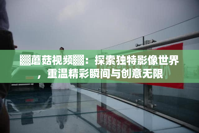 ▓蘑菇视频▓：探索独特影像世界，重温精彩瞬间与创意无限