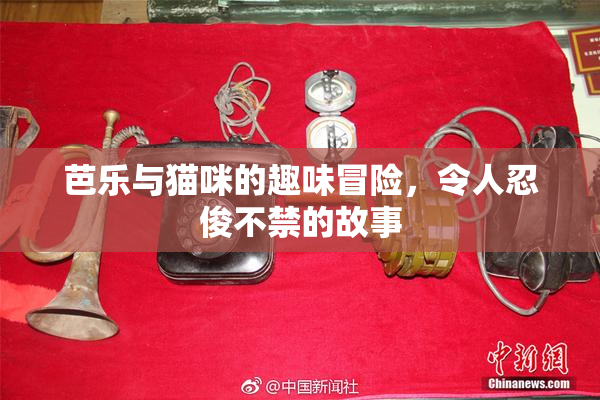 芭乐与猫咪的趣味冒险，令人忍俊不禁的故事