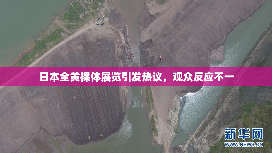 日本全黄裸体展览引发热议，观众反应不一