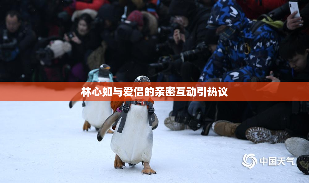 林心如与爱侣的亲密互动引热议