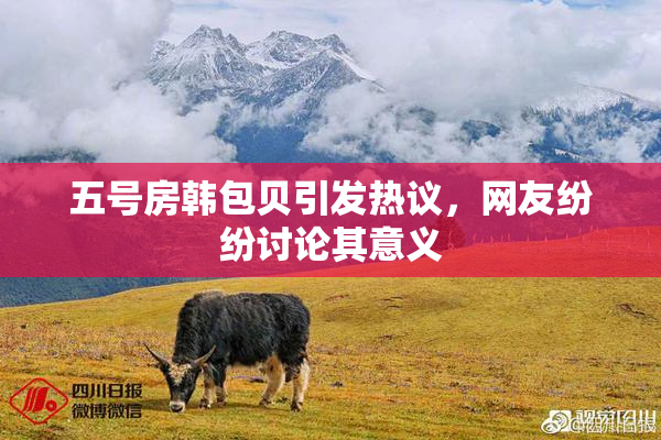 五号房韩包贝引发热议，网友纷纷讨论其意义