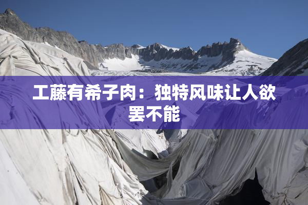 工藤有希子肉：独特风味让人欲罢不能