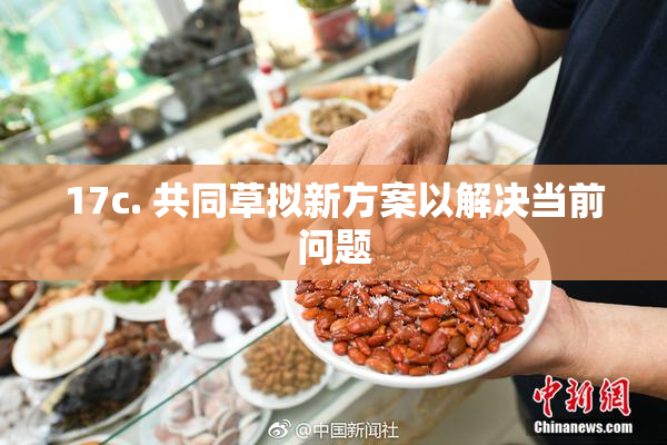17c. 共同草拟新方案以解决当前问题