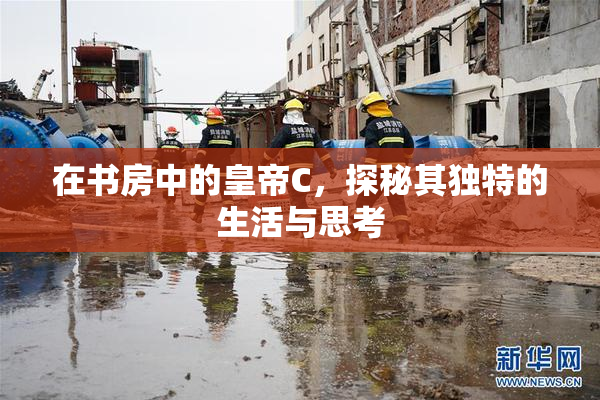 在书房中的皇帝C，探秘其独特的生活与思考