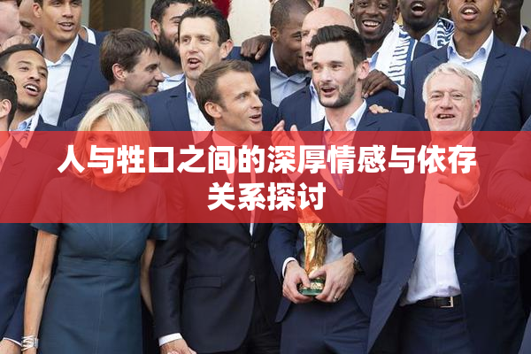 人与牲口之间的深厚情感与依存关系探讨