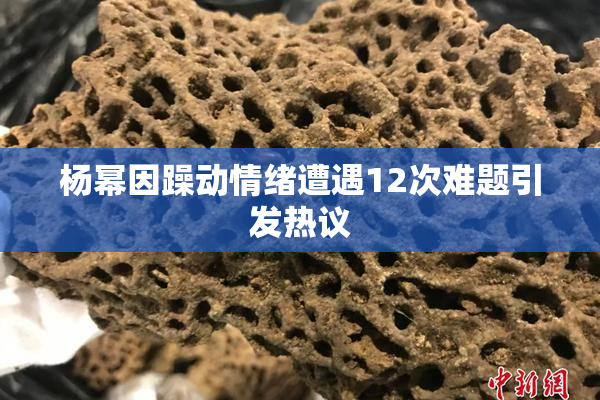 杨幂因躁动情绪遭遇12次难题引发热议
